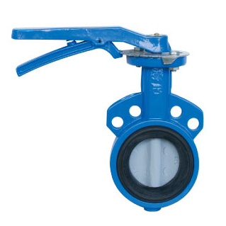 Wafer butterfly valve