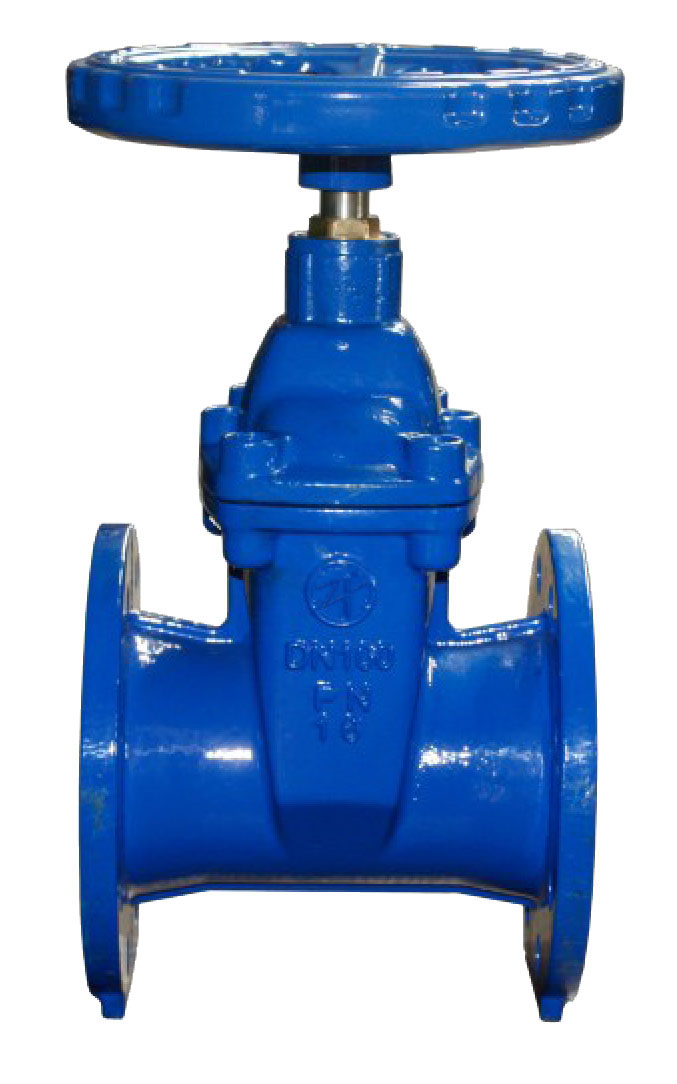 Soft seal gate valve