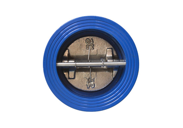 Wafer check valve